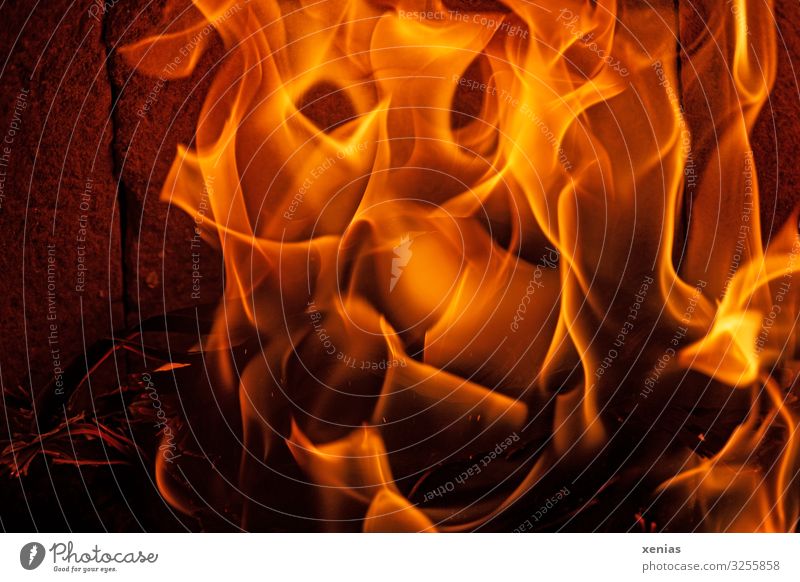 Feuer im Kamin Häusliches Leben Winter heiß Wärme gelb orange Warmherzigkeit Umweltverschmutzung brennen heizen Brennholz Flamme Farbfoto Innenaufnahme