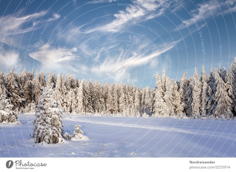 Winterzeit ruhig Ausflug Schnee Winterurlaub wandern Feste & Feiern Weihnachten & Advent Silvester u. Neujahr Natur Landschaft Himmel Wolken Klima