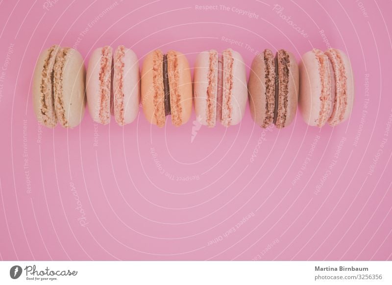 Bunte Makronen in einer Reihe auf rosa Hintergrund Dessert Design lecker oben Macaron süß Biskuit Backwaren Lebensmittel Konfekt Bonbon Pastell farbenfroh