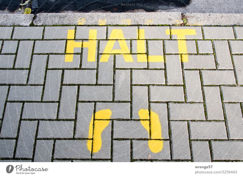 Bleib doch mal stehen Verkehrswege Personenverkehr Fußgänger Bürgersteig Stein Zeichen Schriftzeichen Schilder & Markierungen warten Stadt Überleben