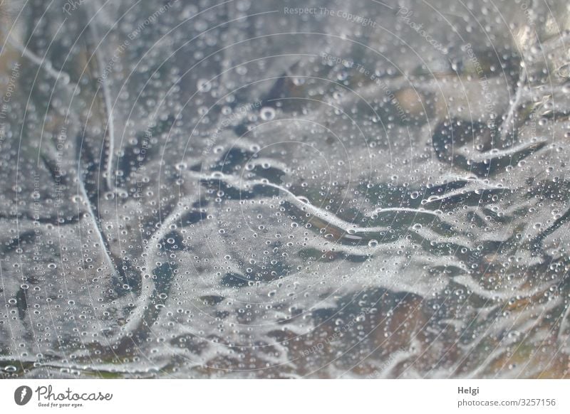 faltige Kunststofffolie als Wetterschutz mit Regentropfen Wassertropfen Folie Falte festhalten authentisch außergewöhnlich nass grau weiß bizarr einzigartig