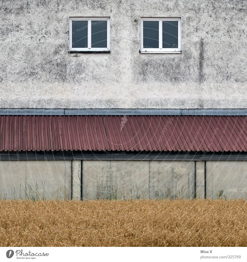 Haus I Renovieren Feld Stadtrand Menschenleer Mauer Wand Fenster alt Verfall Vergänglichkeit Autofenster Dach trist Farbfoto