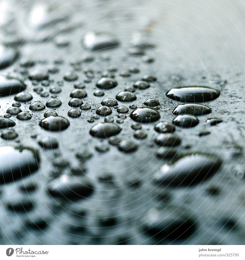 Tröpfchenweise Wasser Wassertropfen Regen Gewitter rund ruhig Leben Reinlichkeit Sauberkeit rein planen glänzend schillernd Zusammensein Farbfoto