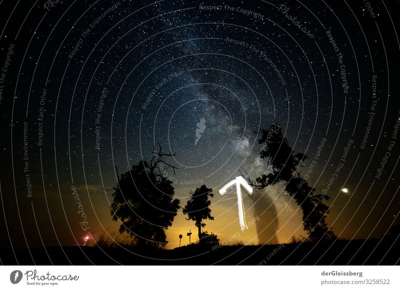 Einmal hochgucken bitte. Landschaft Himmel Nachthimmel Stern Baum träumen frei Tatkraft Ferne Milchstrasse Pfeil Farbfoto Außenaufnahme Langzeitbelichtung