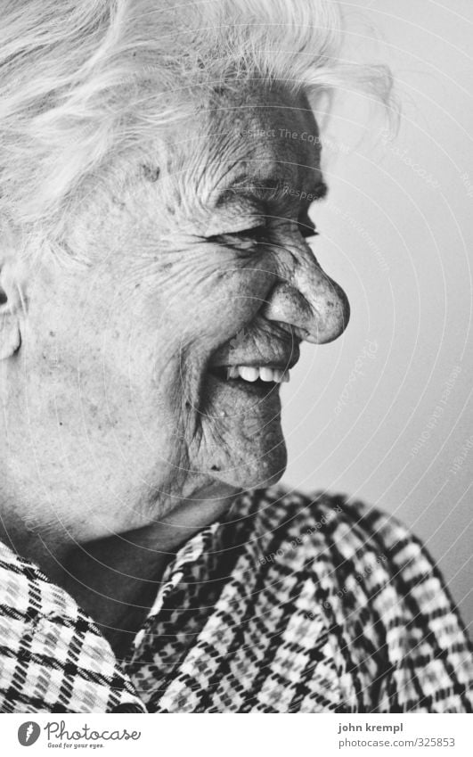 auf die nächsten hundert feminin Weiblicher Senior Frau Großmutter Gesicht 1 Mensch 60 und älter lachen alt Fröhlichkeit Gesundheit Lebensfreude Güte