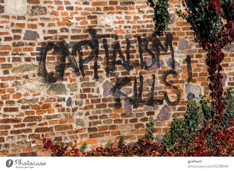 Capitalism Kills Graffiti auf Ziegelmauer mit Efeu kunst kunstwerk ziegel wirtschaft kapitalismus kapitalismus tötet stadt kritik wirtschaftlich anschmieren