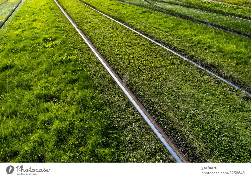 Schienen durch grüne Wiese hintergrund fracht stadt konzept detail entwicklung richtung ökologisch ökologie umwelt umweltschutz feld gras industrie