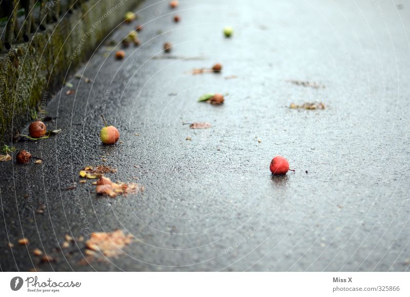 reif Lebensmittel Frucht Apfel Herbst schlechtes Wetter nass Fallobst Birne Herbststurm herbstlich Herbstlaub Blatt Herbstwetter Bürgersteig Farbfoto