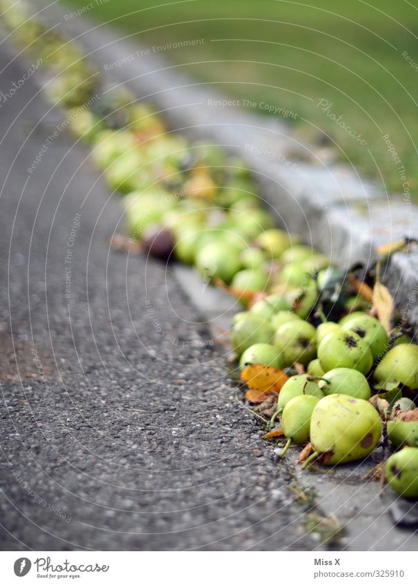 Birnen Lebensmittel Frucht Ernährung Bioprodukte Herbst dehydrieren lecker süß reif Fallobst Ernte Farbfoto mehrfarbig Außenaufnahme Menschenleer