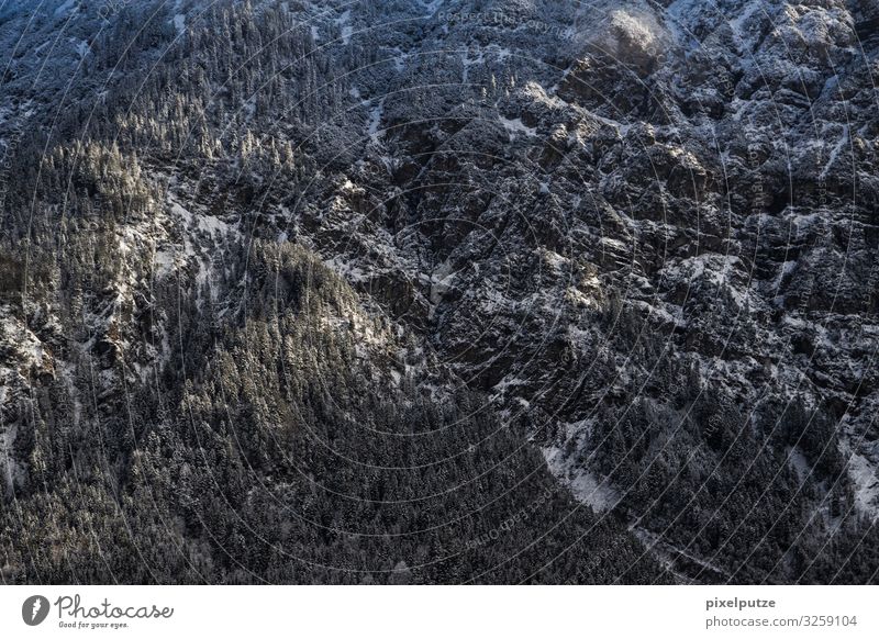 Massiv Winter Berge u. Gebirge Natur Landschaft Schnee Baum Wald Felsen Alpen Stein Abenteuer kalt massiv Nadelwald Panorama Sonnenschein Panorama (Aussicht)