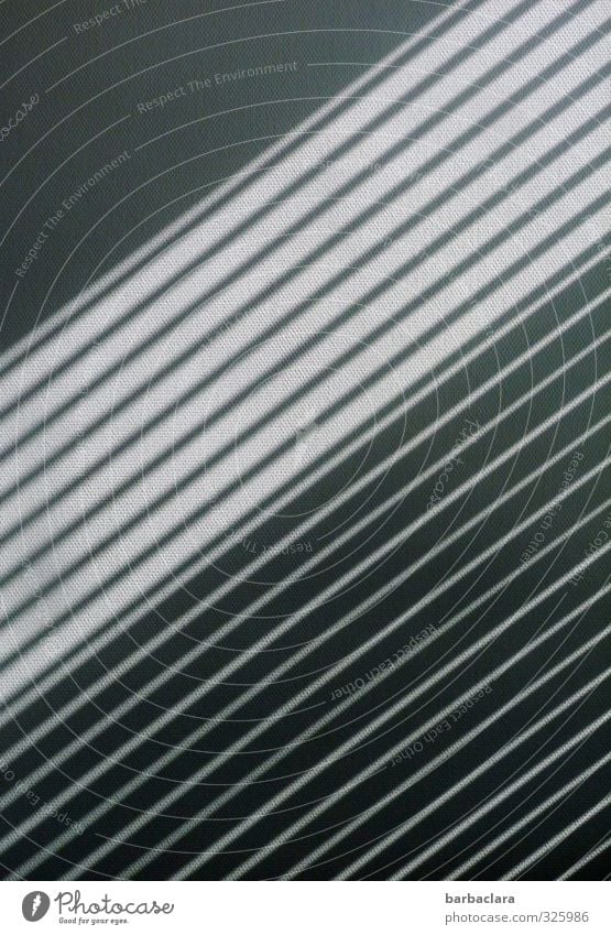 schwarzweißgrau | Schattenspiel Mauer Wand Fassade Jalousie Linie Streifen Design Kreativität Präzision Schutz Symmetrie diagonal parallel Geometrie