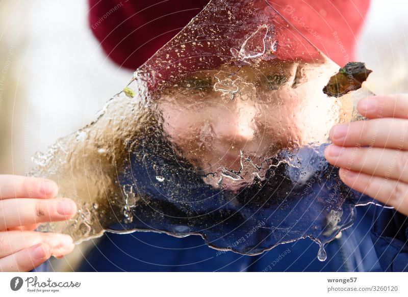 Den Winter in Händen halten Abenteuer Kind Mädchen 1 Mensch 3-8 Jahre Kindheit Eis Frost kalt nah blau rot weiß Freude Eisscholle frieren Blick festhalten