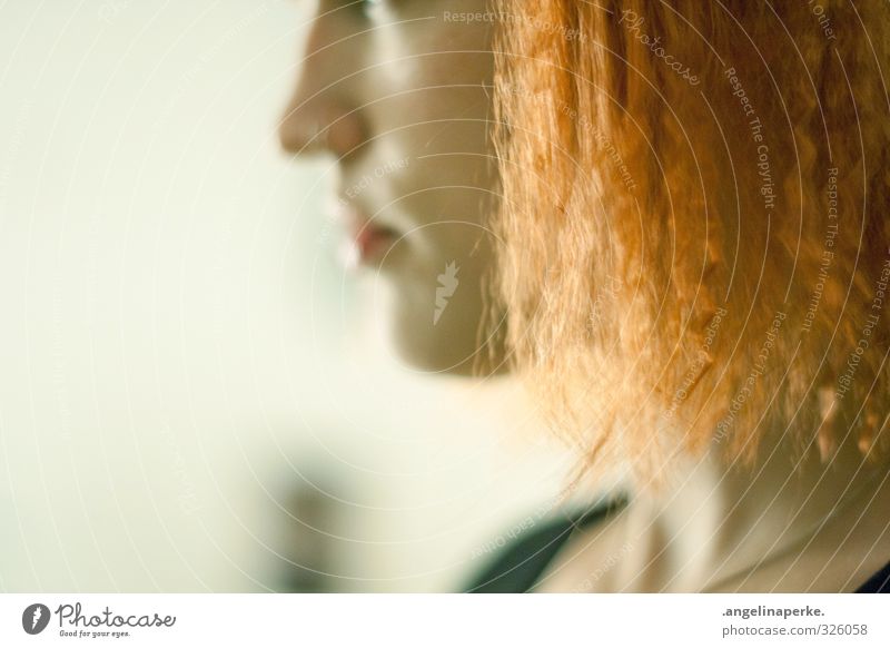 maybe leelo orange Crêpe Haare & Frisuren Schwache Tiefenschärfe Profil Licht Anschnitt