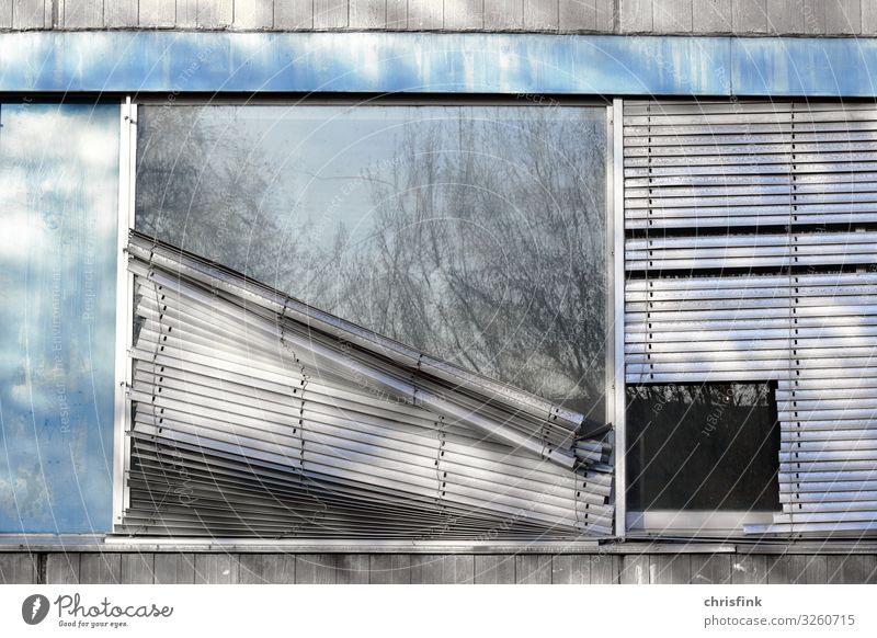 Fenster mit beschädigtem Vorhang Häusliches Leben Haus Kindererziehung Bildung Schulgebäude Lehrer Arbeitsplatz Büro Arbeit & Erwerbstätigkeit Aggression
