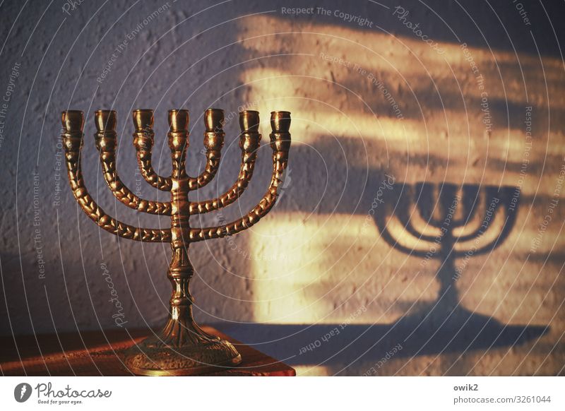 Erleuchtung Sammlerstück Menorah Metall leuchten stehen glänzend Identität Religion & Glaube Tradition Israel Schattenspiel Wand Farbfoto Innenaufnahme Muster