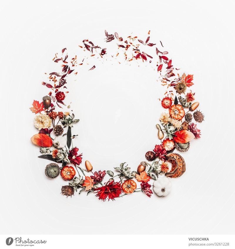 Wunderschöner Herbstkranz oder Kreisrahmen aus hübschen Herbstblättern, Kastanien, Nüssen, Eicheln und Blumen auf weißem Hintergrund. Ansicht von oben. Flach gelegt. Kreatives Layout