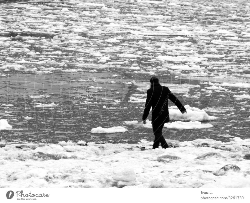 Eiselbe Ausflug Winter Mensch Mann Erwachsene 1 45-60 Jahre Natur Wasser schlechtes Wetter Frost Flussufer Hamburg Jacke schwarzhaarig Locken gehen kalt Elbe