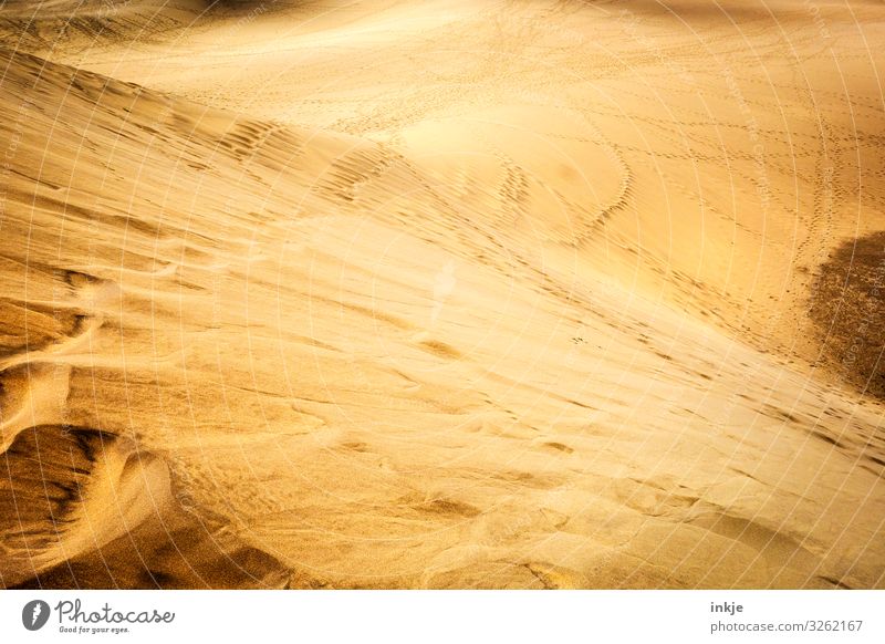 Wüste Natur Landschaft Sand Sommer Schönes Wetter Wärme trocken braun gelb gold Ferne Stranddüne Düne Farbfoto Außenaufnahme Menschenleer Tag Licht Schatten