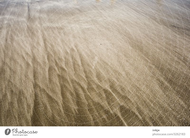 Strand Sand Ornament Linie Meeresströmungen einfach schön braun Bewegung Farbfoto Außenaufnahme abstrakt Muster Strukturen & Formen Menschenleer Tag Licht