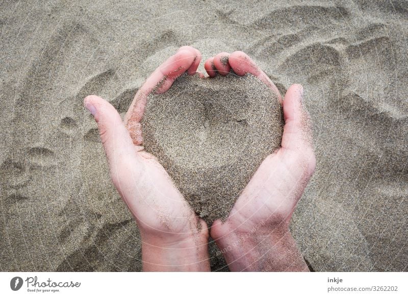 Sandherz Lifestyle Sinnesorgane Erholung ruhig Freizeit & Hobby Spielen Ferien & Urlaub & Reisen Strand Hand Handfläche 1 Mensch Herz festhalten einfach braun
