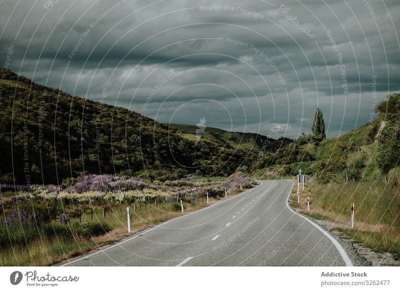 Landstraße zwischen grünen Hügeln Straße Wolken stürmisch Himmel Berge u. Gebirge Hochland Asphalt Neuseeland Wetter Landschaft Natur geschlängelt malerisch