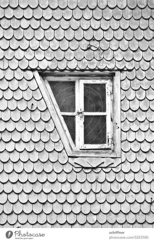 Verloren | die Ecke Haus Dach außergewöhnlich einzigartig grau Autofenster Fensterscheibe Fensterkreuz Fensterfront Fensterrahmen Neigung ausgeschnitten