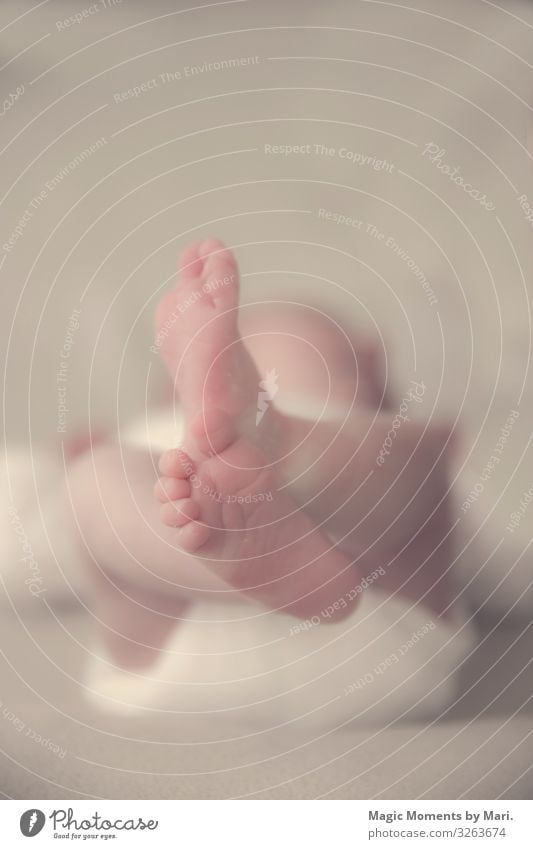Die kleinen Babyfüße Fröhlichkeit Fuß Zehen Farbfoto