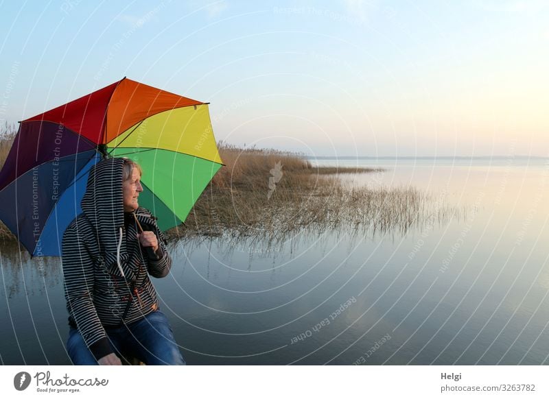 Frau sitzt mit einem bunten Schirm in der Abendsonne am See Mensch feminin Erwachsene Senior 1 45-60 Jahre Umwelt Natur Landschaft Wasser Frühling