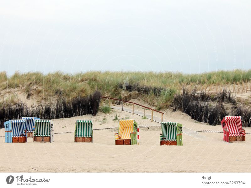 mehrere leere Strandkörbe stehen am Strand vor den Dünen Freizeit & Hobby Ferien & Urlaub & Reisen Tourismus Umwelt Natur Landschaft Pflanze Sommer Gras Küste