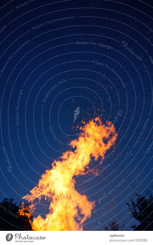Heiße Nacht Abenteuer Freiheit Expedition Nachtleben Veranstaltung Feste & Feiern Jahrmarkt Umwelt Natur Feuer Wolkenloser Himmel Nachthimmel Sommer Wärme Wald