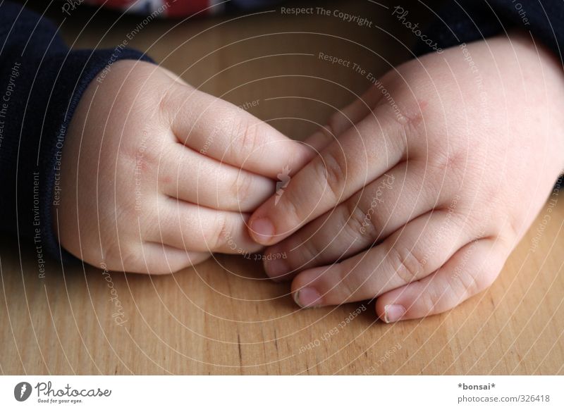 schüchtern Mensch Kind Kleinkind Junge Hand Finger 1 1-3 Jahre berühren festhalten frisch klein Zufriedenheit Erholung Kindheit Scham unschuldig Fingernägel