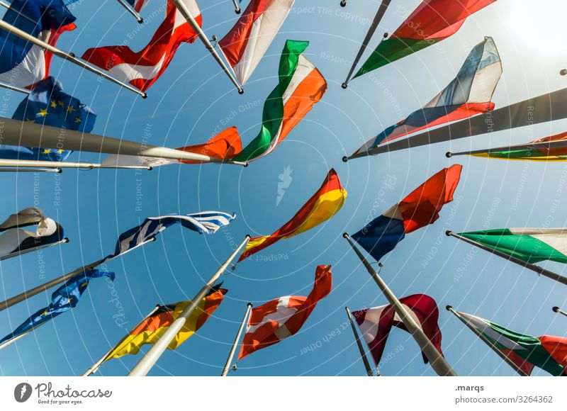 Europäische Flaggen Wolkenloser Himmel Fahne Politik & Staat Froschperspektive Europa Perspektive international Österreich Frankreich Griechenland Deutschland