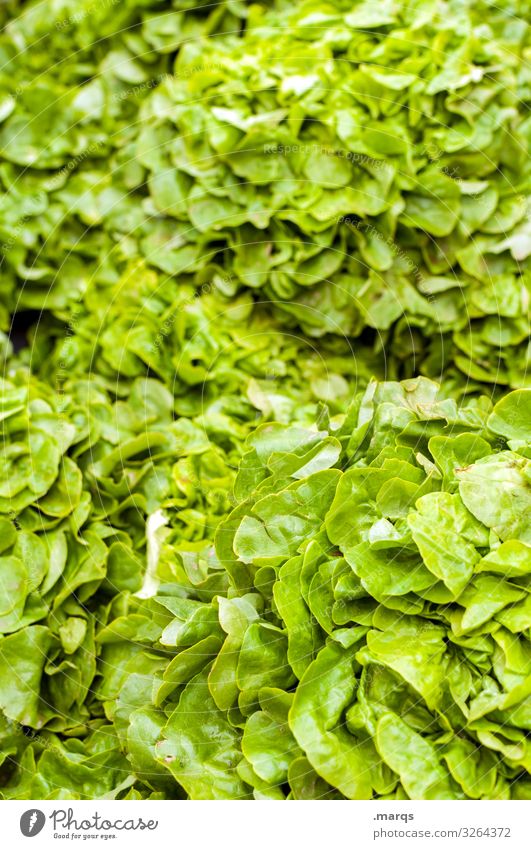 Salatblätter Lebensmittel Salatbeilage Salatblatt Ernährung Bioprodukte Vegetarische Ernährung Wochenmarkt frisch viele Gesundheit Farbfoto Außenaufnahme