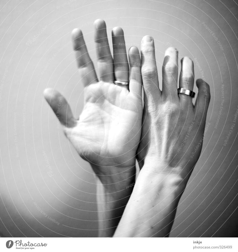 was andere Fotografen befremdlich fanden: Motiv feminin Hand Finger Frauenhand 1 Mensch Ring Ehering Kommunizieren machen außergewöhnlich Gefühle 2