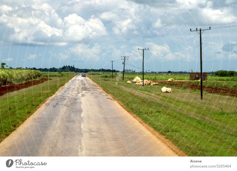 kein Ende in Sicht Landwirtschaft Forstwirtschaft Ackerbau Landschaft Himmel Wolken Zuckerrohrplantage Feld Ebene Kuba Verkehrswege Autofahren Straße PKW