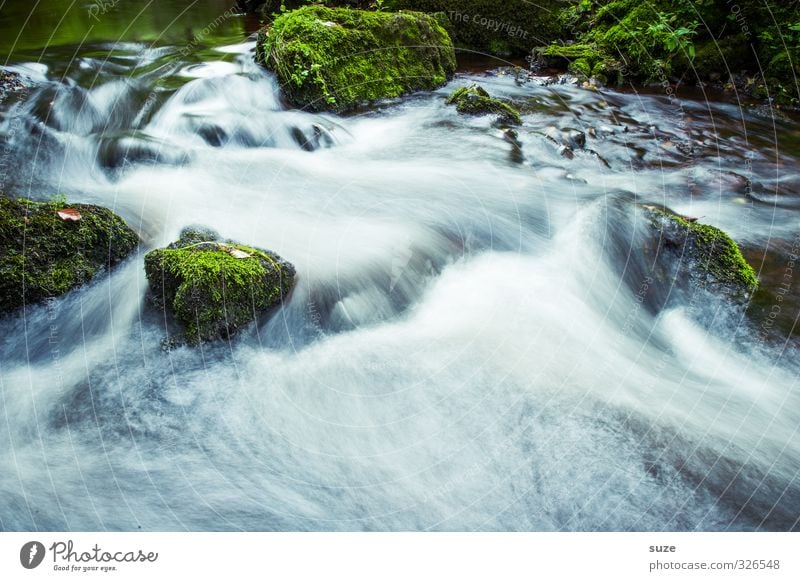Reißender Fluß Umwelt Natur Landschaft Pflanze Urelemente Wasser Moos Felsen Flussufer Oase Stein Wachstum fantastisch frisch nachhaltig nass natürlich