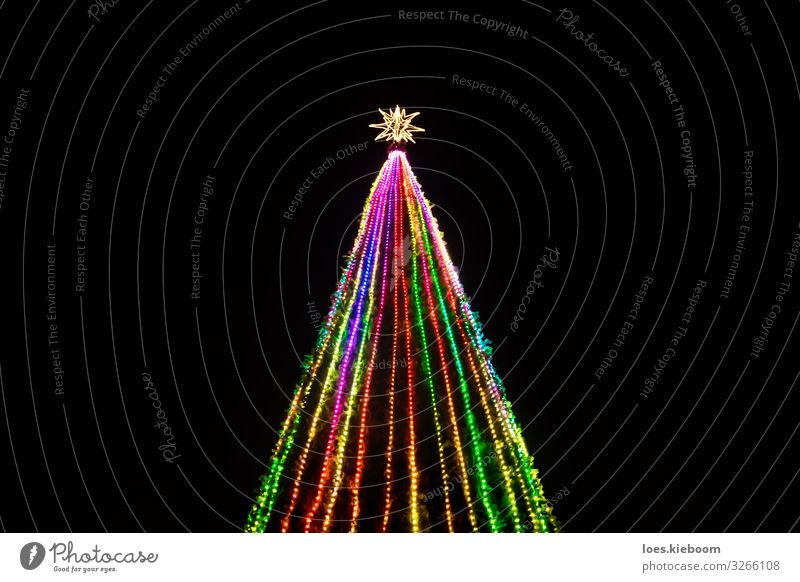 Kitsch Christmas tree Ferien & Urlaub & Reisen Tourismus Ferne Städtereise Weihnachten & Advent Baum Park Krimskrams Ornament Feste & Feiern groß trashig