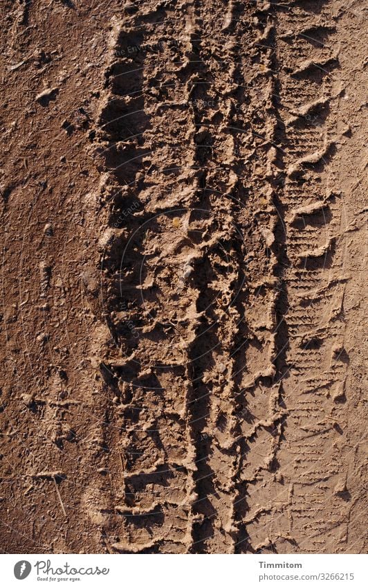 Braun - Reifenspuren auf Feldweg braun Farbe Erde Spuren Profil trocken Abdruck Reifenprofil Menschenleer Wege & Pfade Licht Schatten