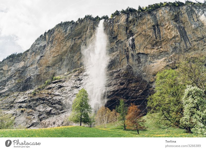 Wasserfall Umwelt Natur Landschaft Pflanze Tier Klima Schönes Wetter Wiese Wald Alpen Berge u. Gebirge atmen Aggression authentisch Ferne Gesundheit