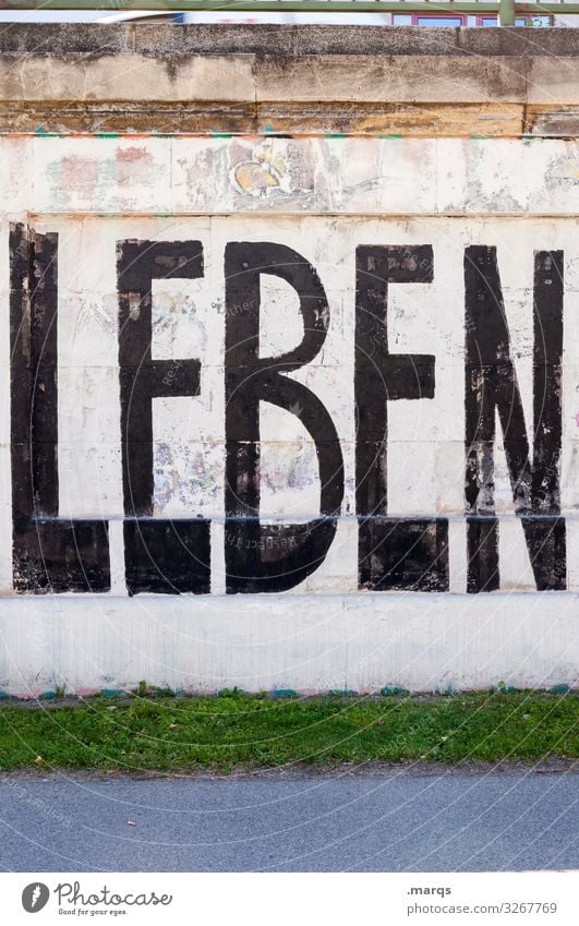 LEBEN | Geschriebenes Wiese Mauer Wand Schriftzeichen Graffiti Leben Lebenslauf Farbfoto Außenaufnahme Menschenleer Textfreiraum oben Textfreiraum unten Tag