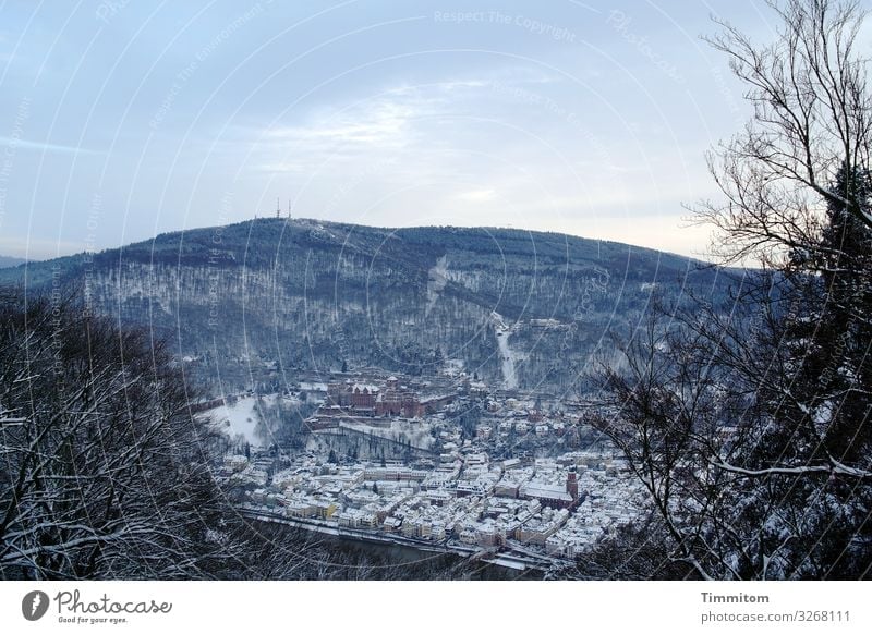 Heidelberg im Winter (1) Ferien & Urlaub & Reisen Umwelt Natur Landschaft Pflanze Eis Frost Schnee Baum Sträucher Wald Hügel Burg oder Schloss Ruine