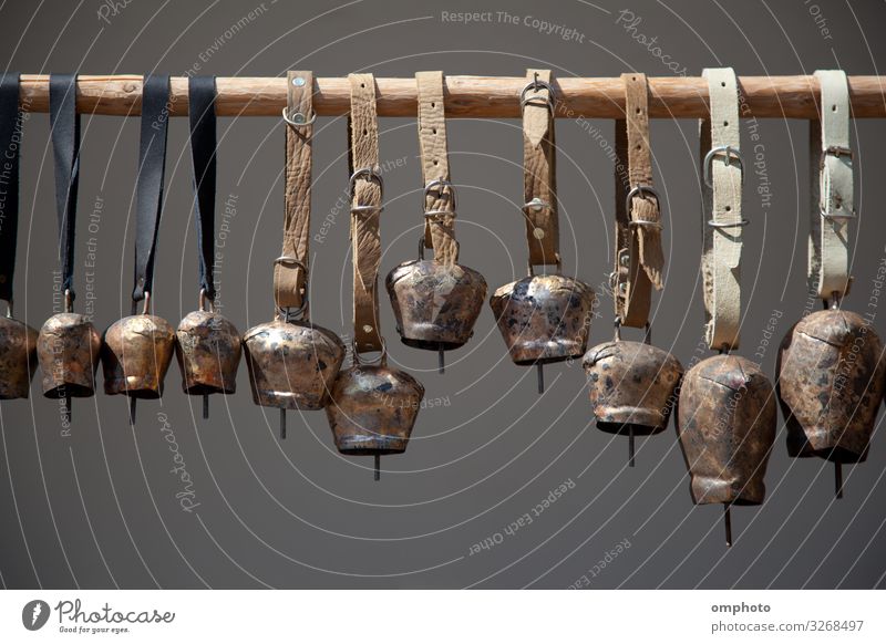 Kupferglocken, verschiedene Größen auf einem Holzstab Ring Büchse Metall hängen Klingel Tierglocke kupfer selbstgemacht Bauernhof Viehbestand Ackerbau Klang
