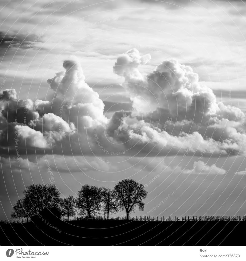 Pfalz II mit Kumulus Natur Landschaft Himmel Wolken Gewitterwolken Sommer Schönes Wetter Pflanze Baum Grünpflanze Wiese Feld Hügel Haus Hütte bedrohlich