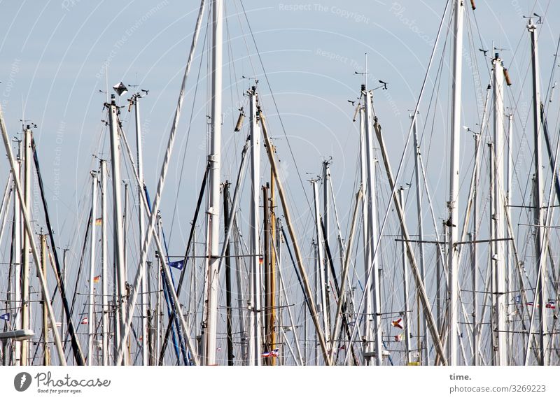 Seilschaften (XV) Schifffahrt Segelboot Segelschiff Hafen Jachthafen Mast Tau Takelage Holz Metall Zusammensein Leben Ausdauer standhaft Überraschung Bewegung