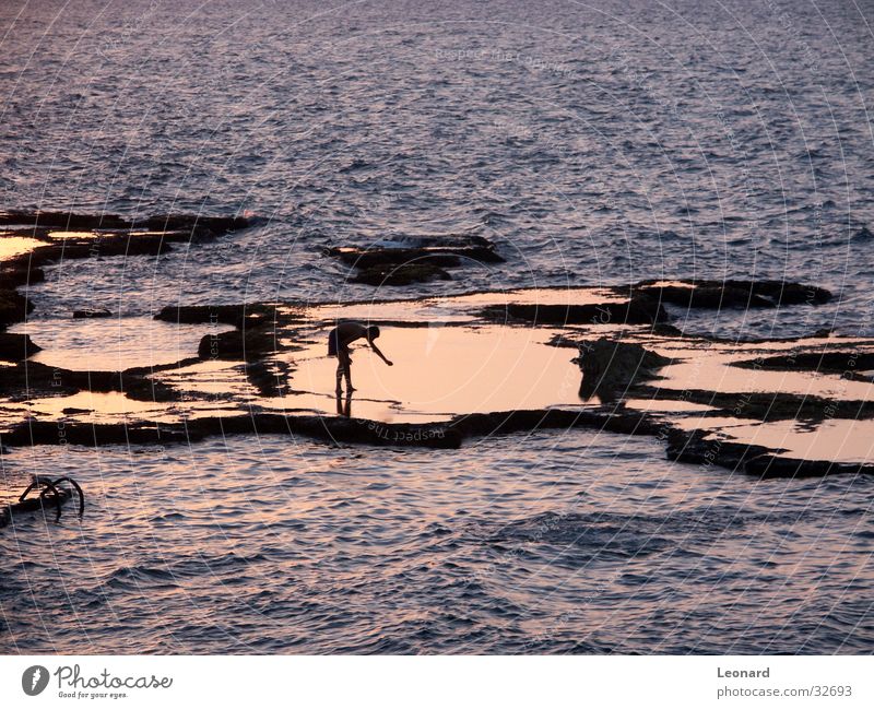 Spiegelung Meer Wellen Licht Sonnenuntergang Mensch Wasser Felsen reflection coast sea sun woman