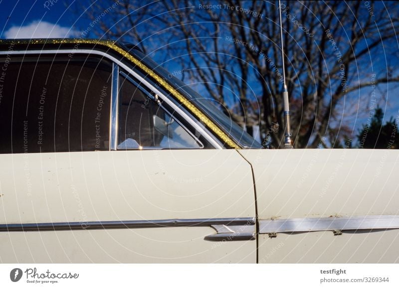 glitzer Schönes Wetter Fahrzeug PKW Oldtimer alt retro chevy Gold glänzend Glamour Farbfoto Außenaufnahme Licht Schatten Sonnenlicht Blick nach oben