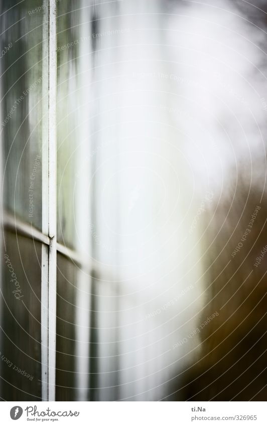 Baumaterial | Edelstahl und Glas Gärtnerei Architektur Gewächshaus Fenster eckig groß kalt braun grau weiß ästhetisch Schutz Farbfoto Gedeckte Farben