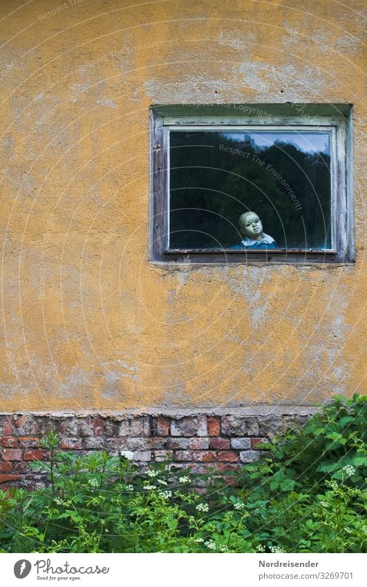 Ich seh dich..... Wohnung Sträucher Garten Dorf Kleinstadt Stadtrand Haus Ruine Gebäude Architektur Mauer Wand Fassade Fenster Spielzeug Puppe beobachten