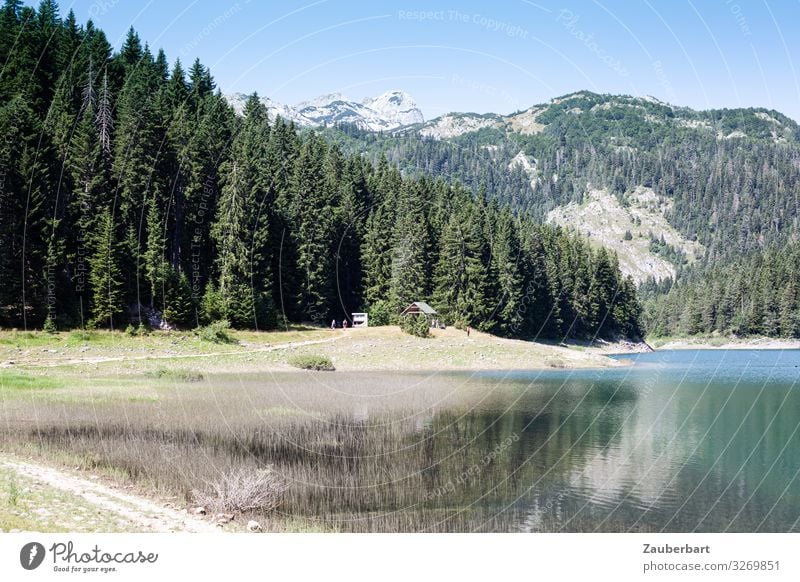 Der schwarze See im Durmitor Nationalpark, Montenegro Ausflug Ferne Sommer Berge u. Gebirge Natur Landschaft Baum Wald Schwarzer See Crno Jezero Erholung Blick