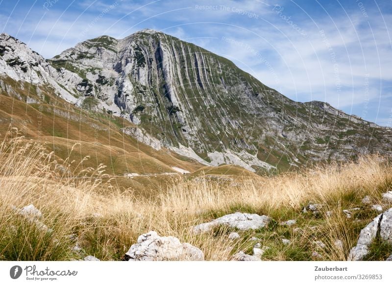 Der Berg Prutas, Durmitor-Nationalpark, Montenegro Ferien & Urlaub & Reisen Ausflug Berge u. Gebirge wandern Himmel Schönes Wetter Gras Sträucher Wiese Erholung